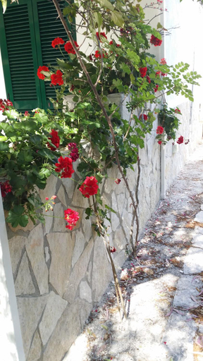 Others 3, Residence Polidoro, Foggia