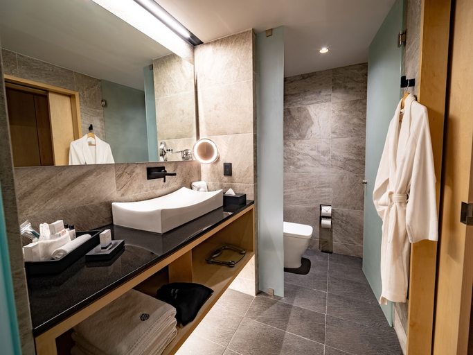 Bathroom 5, Galeria Plaza San Jeronimo, Mexico City