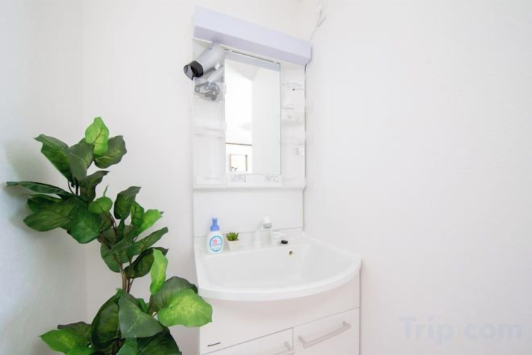 Bathroom, sankennyahigasi101, Osaka