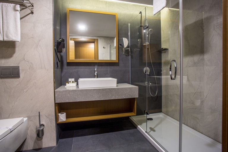 Bathroom 5, Willmont Hotel, Merkez