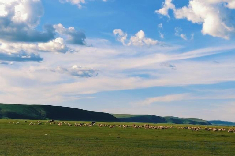 Others 3, Chenbaerhuqi Donkey Camp Outdoor Hotel, Hulunbuir
