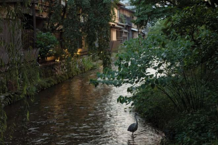 Miscellaneous 3, Yasen, Kyoto