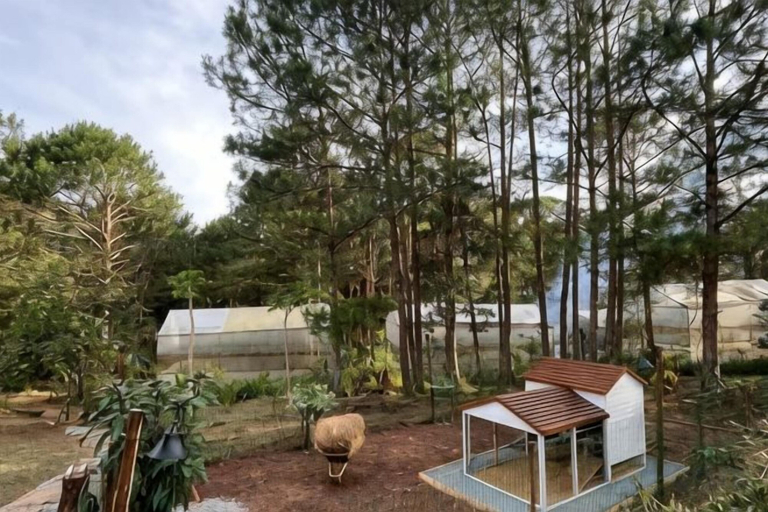 Property grounds 4, Binh An Village Dalat Resort, Đà Lạt