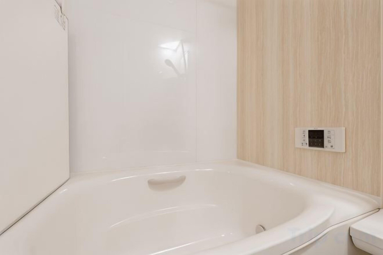 Bathroom 5, Senju Kotobukicho 1F, Adachi