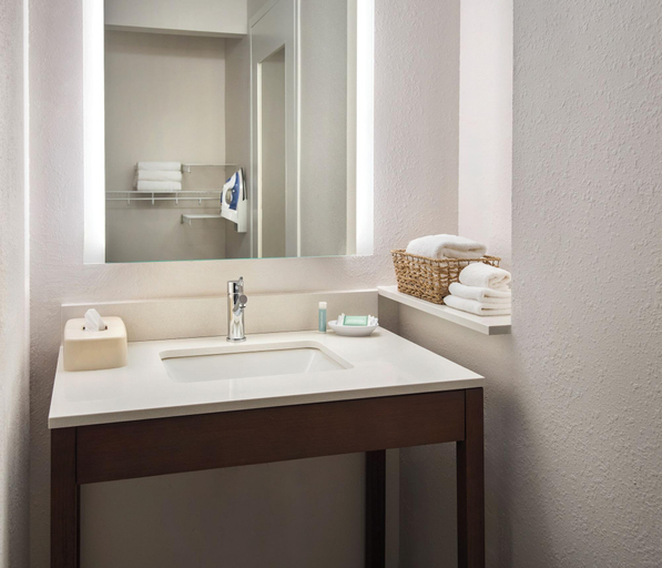 Bathroom 5, Residence Inn Pittsburgh Monroeville/Wilkins, Allegheny