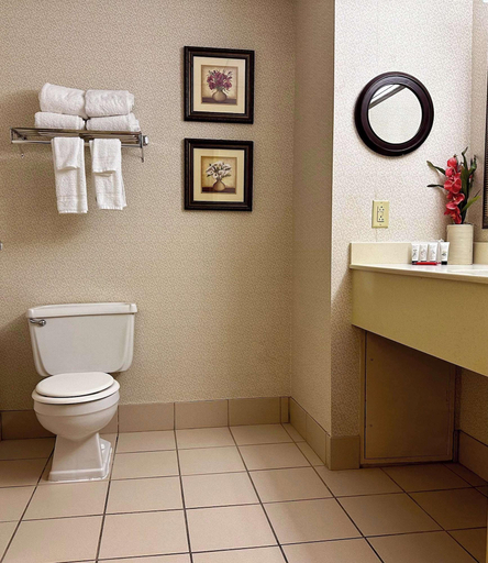 Bathroom 5, Red Lion Hotel Harrisburg Hershey, Dauphin