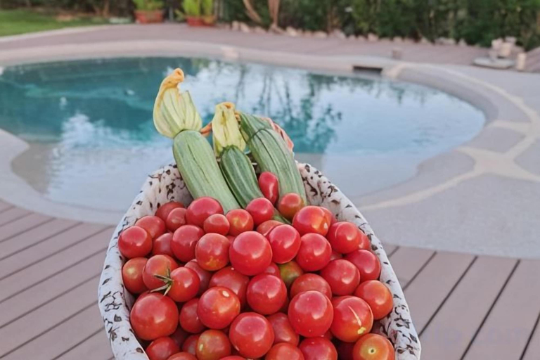 Pool 2, La Tortorella Farm Stay, Grosseto