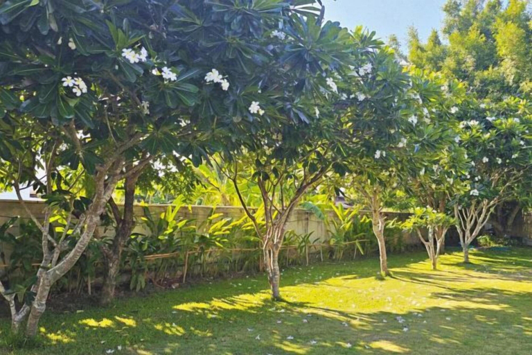 Others 4, 90/9 Pool Villa Chiang Mai, Mae Rim