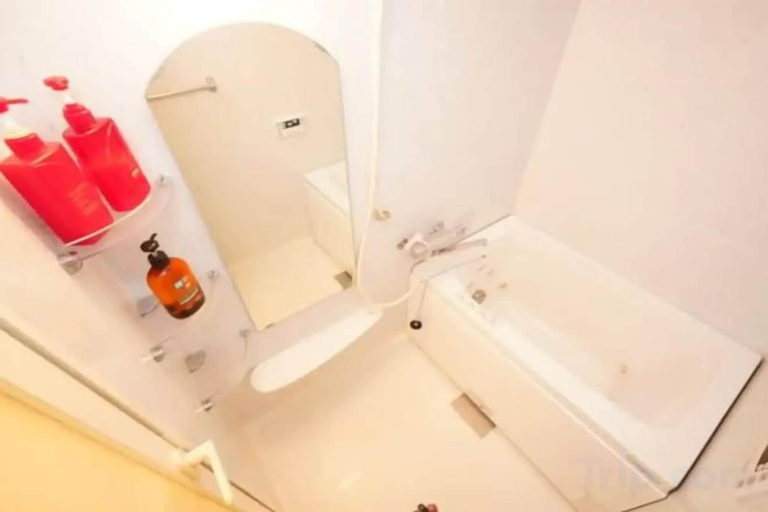 Bathroom, Entire apartment in Higashi Shinjuku, Shinjuku