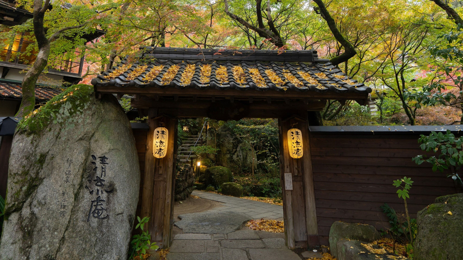 Exterior detail, Akizukionsen Ryoteiryokan Seiryuan, Asakura