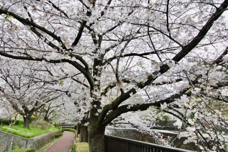 Miscellaneous 4, Takinoen Standalone House for 7 12 mins Train to Ueno, Kita