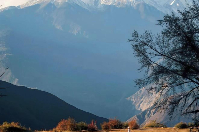 Others 4, Loving Return · Cozy Stay Guesthouse(Dali Ancient Town, Yu'er Road Branch), Dali Bai