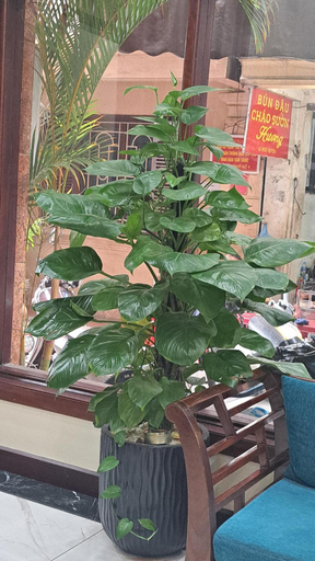 Public Area, Hanvet Boutique hotel, Hoàn Kiếm