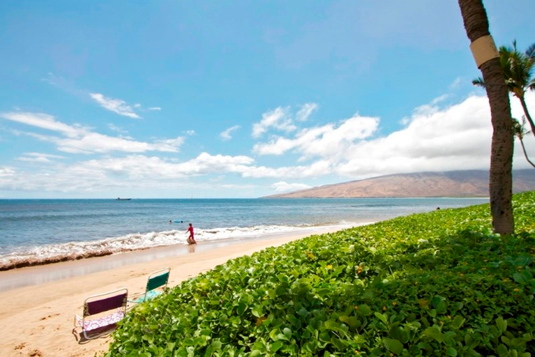 Others 5, Sugar Beach, Maui