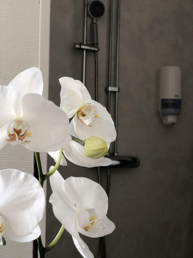 Bathroom 4, Ja Rnva Gshotellet, Gävle