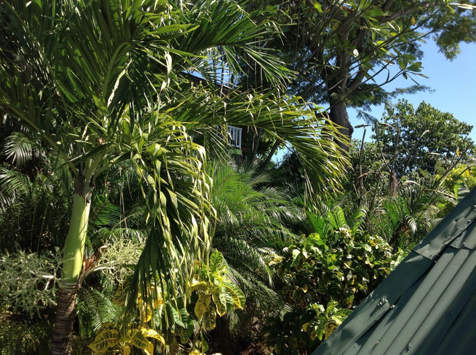 Public Area 3, Hotel Tamarindo Village, Santa Cruz