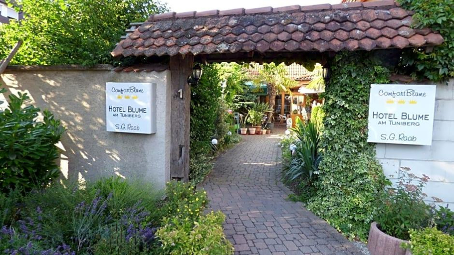 Public Area 2, Hotel Blume, Freiburg im Breisgau