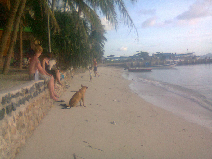 Others 4, Mr Black Resort, Ko Phangan