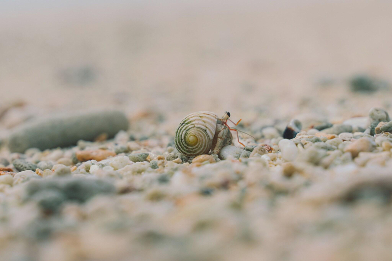 Beach 5, Rugu Glamping Resort, Miyakojima