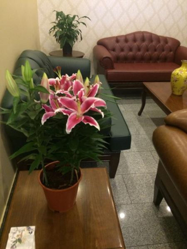 Public Area 4, UNVER OTEL, Yüreğir