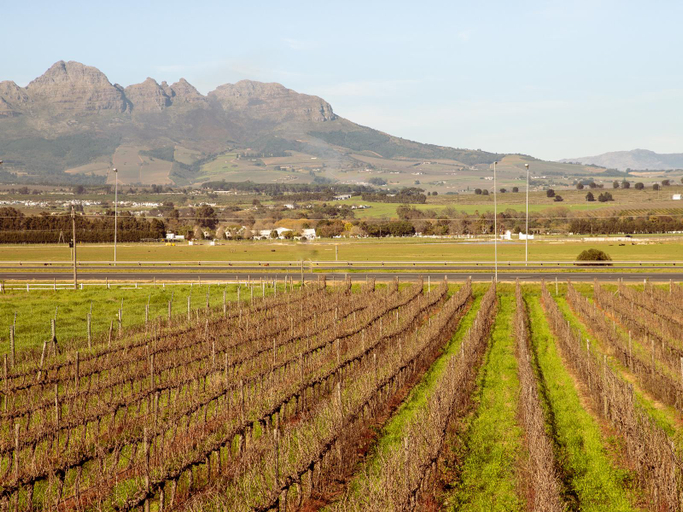 General view 2, Lovane Boutique Wine Estate and Guest House, Cape Winelands