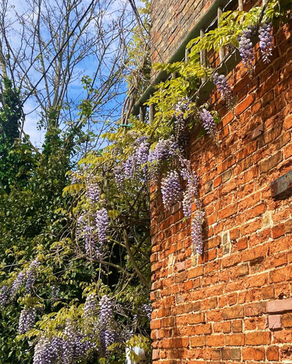 General view 2, The Walnuts Country House, Suffolk