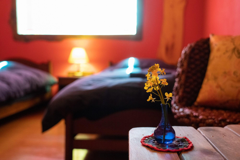 Sports and Entertainment 4, Lodge Mondo - Hostel, Nishiizu