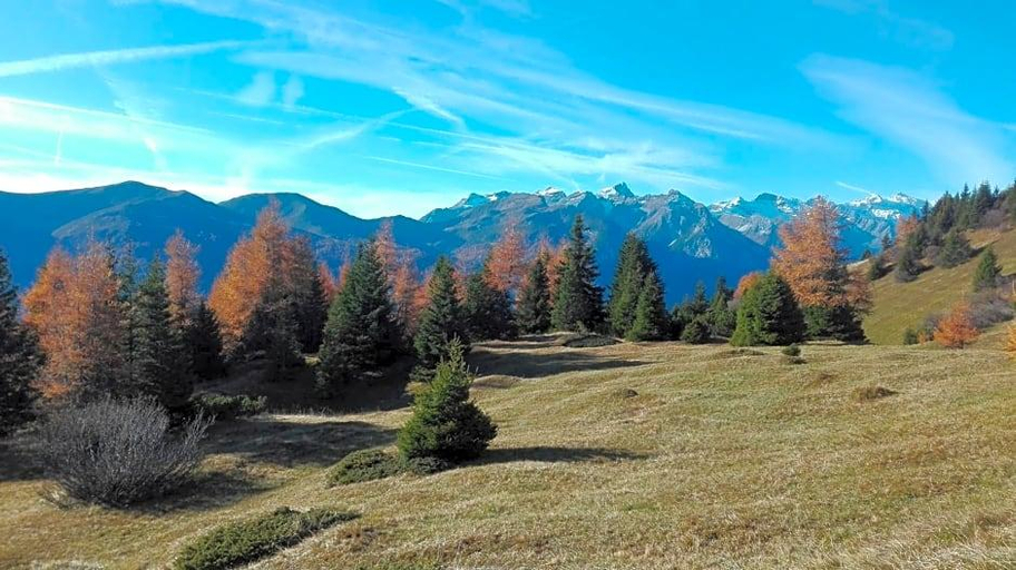 Public Area 2, Zita, Innsbruck Land