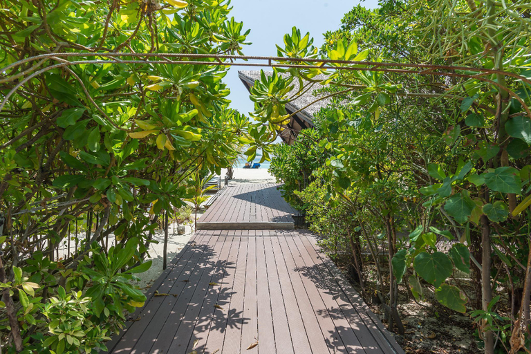 Public Area 2, Premier Beach