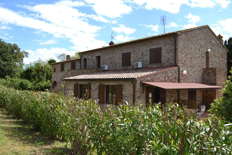 General view 2, La Casaccia, Livorno