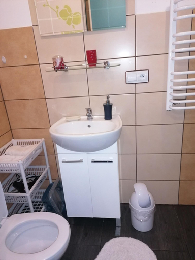 Bathroom 5, Willa Na Górce, Bielsko