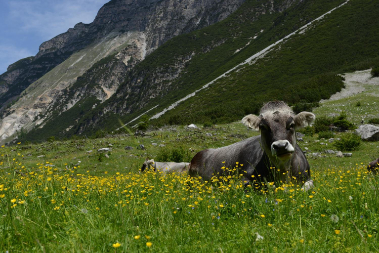 General view 5, Pension Tina, Innsbruck Land