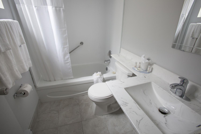 Bathroom 4, Falls Hotel and Inn, Niagara