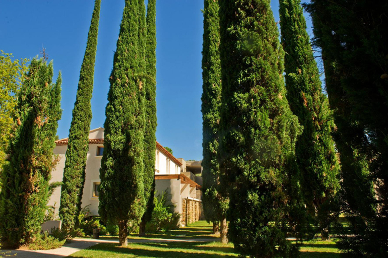 General view 4, Domaine du Moulin Blanc, Vaucluse