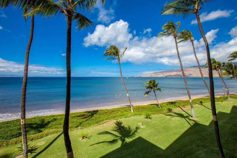 Others 4, Sugar Beach, Maui