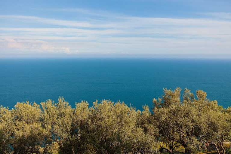 Exterior & Views 2, Residenza Gennaro, Salerno