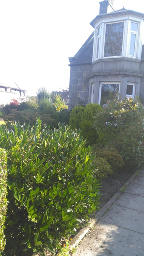 General view 1, Granville guest house, Aberdeen