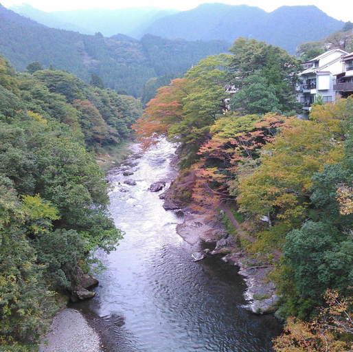 Exterior & Views 2, A-yard, Ōme