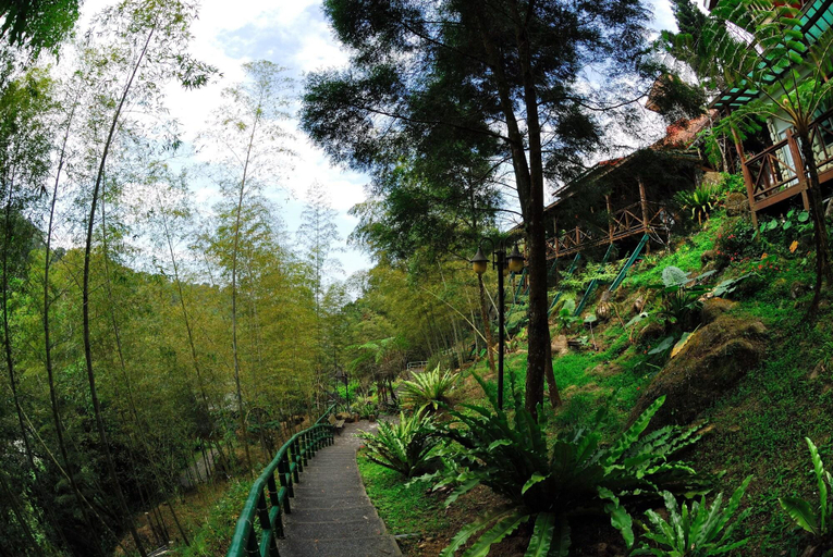 General view 4, Shinmingshan Holiday Inn, Nantou