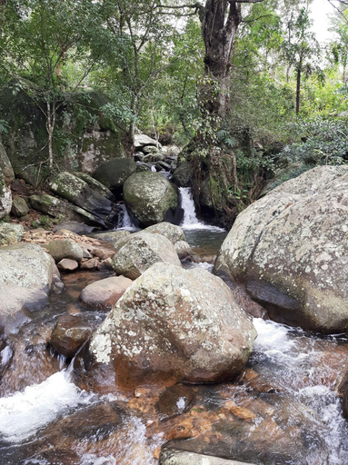 Sports and Entertainment 5, Kallycave Eco Lodge, Hildummulla
