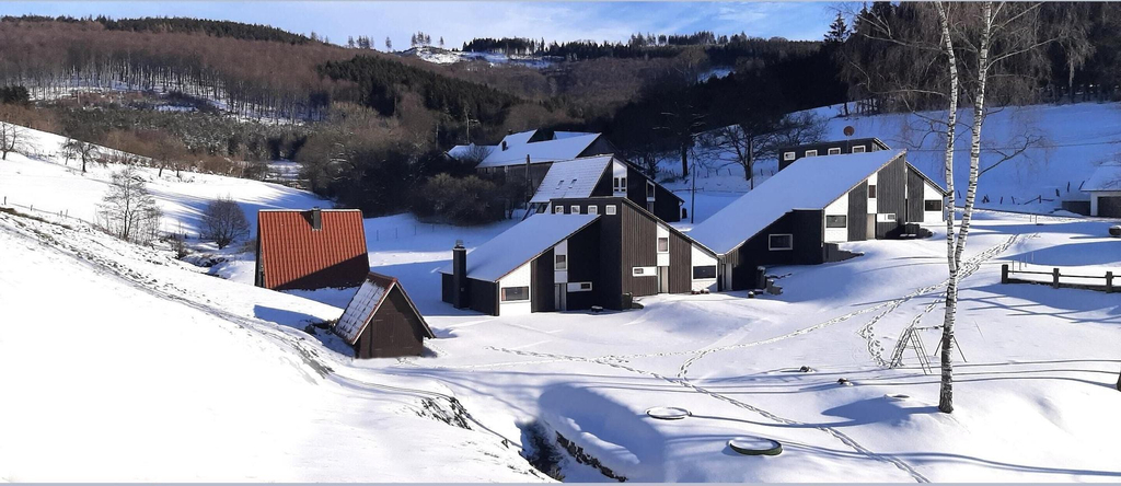 General view 5, Splendid Holiday Home in Untervalme near Ski Area, Hochsauerlandkreis