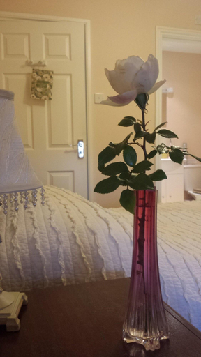 Bedroom 4, Swallows Rest, Dorset