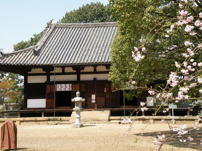 Sports and Entertainment 5, OYO 43999 Hotel Allamanda, Nara
