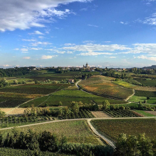 General view 1, Laficaia Wine Resort, Asti
