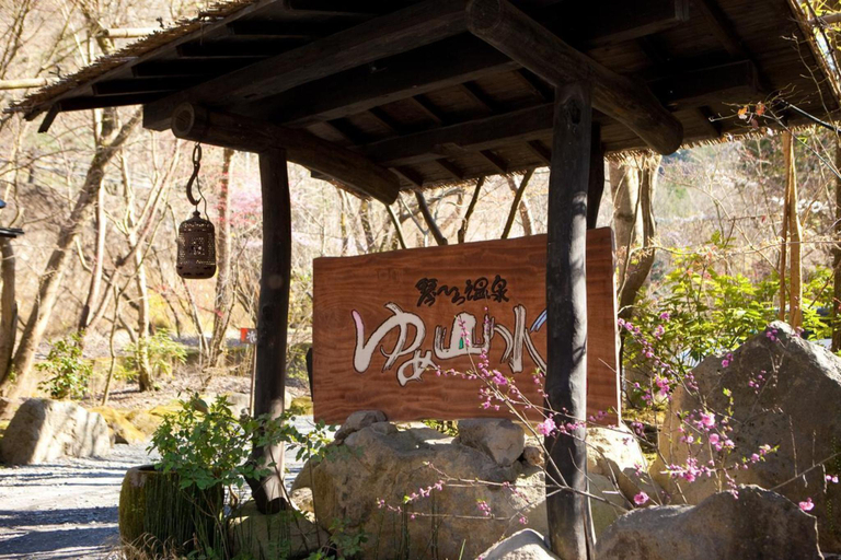 Sports and Entertainment 2, Kotohira Guest House En, Hita