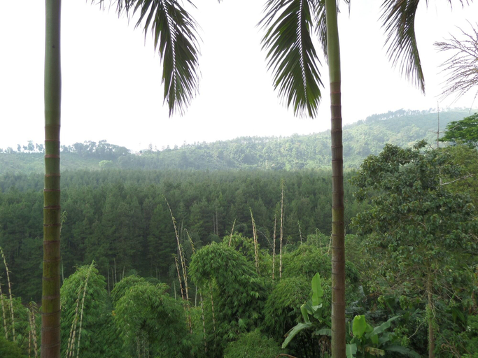 Exterior & Views 1, Sukapura Permai Hotel, Probolinggo