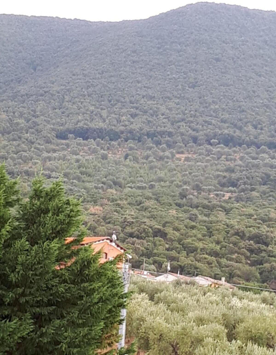 General view 3, B&B Porta del Gargano, Foggia