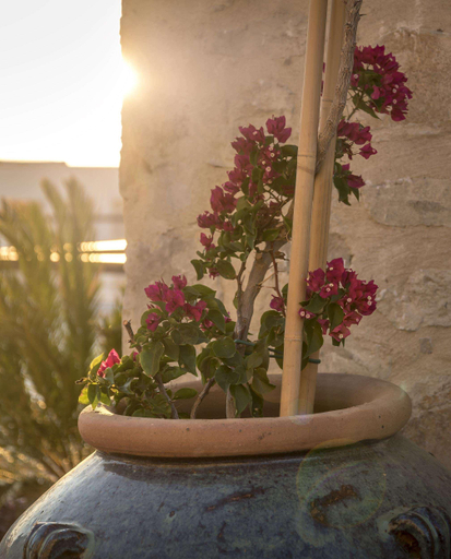 Exterior & Views 2, Allium Bodrum Resort & Spa, Bodrum