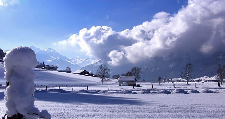 Public Area 2, Quehenberger, Zell am See
