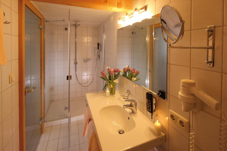 Bathroom 4, Alpenstern, Bregenz